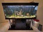 Groot compleet Discusaquarium, Ophalen, Gebruikt, Gevuld zoetwateraquarium