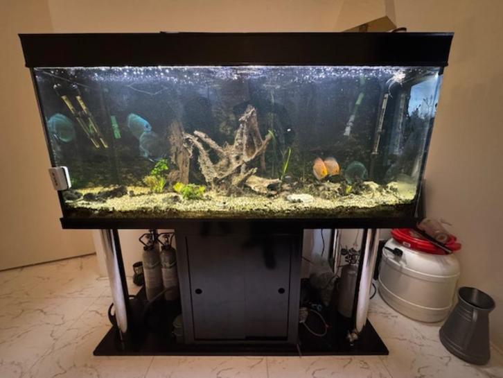Groot compleet Discusaquarium, Dieren en Toebehoren, Vissen | Aquaria en Toebehoren, Gebruikt, Gevuld zoetwateraquarium, Ophalen