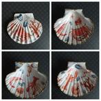 Decoratieve Schelp Schaal met Zee Thema, Overige materialen, Schaal, Ophalen of Verzenden, Zo goed als nieuw