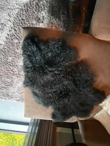 Schapenvacht 120 x 60cm in nieuwstaat beschikbaar voor biedingen