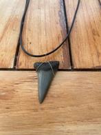 Ketting met een fossiele haaientand voorouder witte haai., Verzamelen, Mineralen en Fossielen, Verzenden, Mineraal