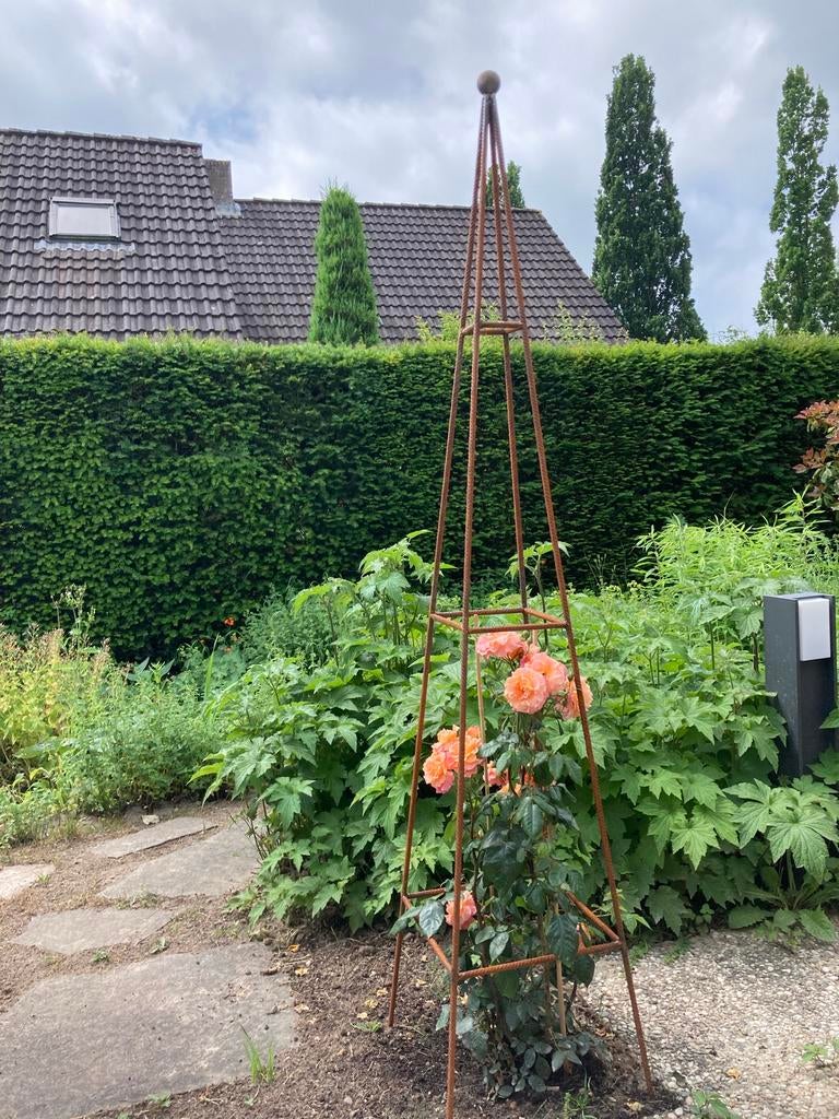 Obelisk, tuinornament,  rek voor klimplanten, Ophalen, Nieuw, Metaal, 60 cm of meer
