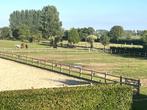 STALLEN TE HUUR, Dieren en Toebehoren, Stalling en Weidegang, Stalling, 4 paarden of pony's of meer