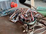 10 halsters, Dieren en Toebehoren, Paarden en Pony's | Overige Paardenspullen, Ophalen of Verzenden, Gebruikt, Overige soorten