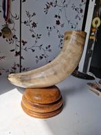 Hoorn van stier, Ophalen of Verzenden, Zo goed als nieuw, Beeldje of Figuurtje