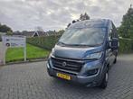 Fiat (Capron) Sunlight T640 buscamper, Buscamper of Camperbus, Bedrijf, Tot en met 3, Carado