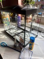 Superfish Start 50 incl alle accessoires. Zo beginnen!, Dieren en Toebehoren, Vissen | Aquaria en Toebehoren, Ophalen, Zo goed als nieuw