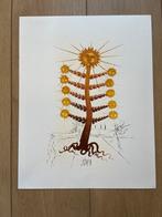 Dali - Flordali Litho - Gesigneerd - Oplage 800, Antiek en Kunst, Ophalen of Verzenden