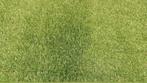 Kunstgras nieuw 3x4 4x4 5x4 6x4 7x4 8x4 9x4 10x4 meter, Ophalen of Verzenden, Nieuw, 20 m² of meer, Kunstgras