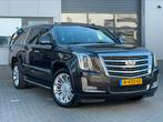 Cadillac Escalade 6.2 V8 Platinum. 8 persoons, EU uitvoering, Escalade, 197 €/maand, USB, Bedrijf