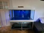 Aquarium met bioloog, Ophalen, Zo goed als nieuw, Leeg aquarium
