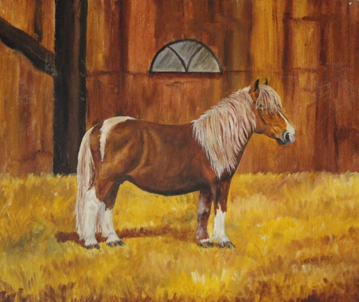 Henri Busy, olieverf op board, fraaie bonte pony., Antiek en Kunst, Kunst | Schilderijen | Klassiek, Verzenden