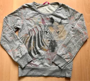 Grijze sweater mt 122/128 zebra trui  beschikbaar voor biedingen