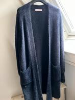 Studio Anneloes vest Fluffy blauw, Studio Anneloes, Zo goed als nieuw, Maat 36 (S), Verzenden