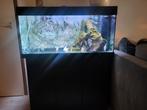 Complete aquarium, Dieren en Toebehoren, Ophalen, Zo goed als nieuw, Gevuld zoetwateraquarium