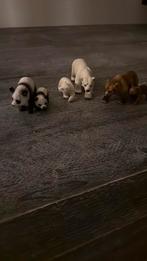 6 schleich beren, Verzamelen, Ophalen of Verzenden, Zo goed als nieuw