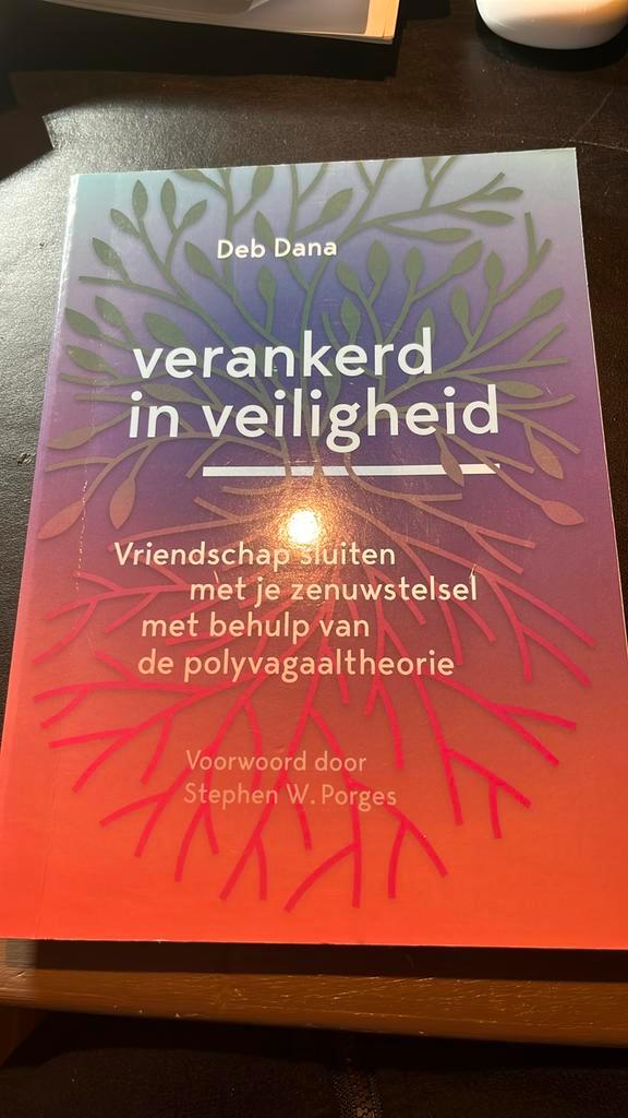 Deb Dana - Verankerd in veiligheid, Boeken, Psychologie, Zo goed als nieuw, Ophalen of Verzenden