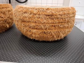 Houten Manden - Mooie Kwaliteit beschikbaar voor biedingen
