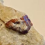 Ziekoon, Verzamelen, Mineralen en Fossielen, Ophalen of Verzenden