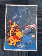 2 geplastificeerde posters van Winnie the Pooh, Ophalen of Verzenden