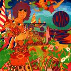 CD Boudewijn de Groot - Picknick, Ophalen of Verzenden, Gebruikt, Overige genres