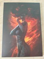 Displate Magic the Gathering (?), Rechthoekig Staand, Ophalen of Verzenden, Zo goed als nieuw, A1 t/m A3