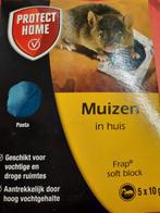 muizen gif pasta prtect home