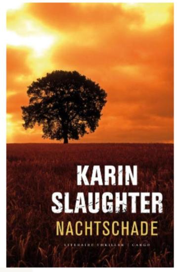 Karin Slaughter - Nachtschade beschikbaar voor biedingen