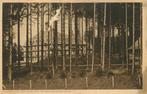 (701-437-013) Sanatorium Bühlerhöhe, Verzenden, Duitsland
