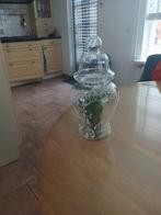 Glazen stolp, Huis en Inrichting, Woonaccessoires | Stolpen, Ophalen, Zo goed als nieuw