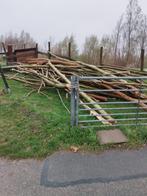 Wilgen hout tot 20 cm dik, 3 tot 6 m³, Ophalen, Overige houtsoorten, Takken