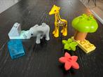 Lego Duplo Wilde dieren van Afrika 10971, Kinderen en Baby's, Speelgoed | Duplo en Lego, Ophalen of Verzenden, Zo goed als nieuw