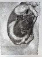 Litho Speedy van Aart van Dobbenburg (1985), Antiek en Kunst, Ophalen of Verzenden