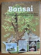 Bonsai – Martina Hop, Boeken, Natuur, Ophalen of Verzenden, Zo goed als nieuw, Bloemen, Planten en Bomen