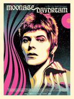 Shepard Fairey zeefdruk David Bowie lim.ed., Antiek en Kunst, Kunst | Litho's en Zeefdrukken, Ophalen of Verzenden