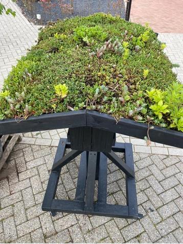 Sedum voor veel projecten te gebruiken van vogelvilla tot … beschikbaar voor biedingen