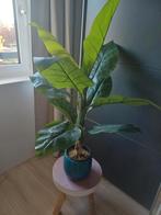 Bananen palm kunst incl. pot, Huis en Inrichting, Ophalen, Halfschaduw, Minder dan 100 cm