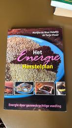 T. Visser - Het Energie Herstelplan, Ophalen of Verzenden, Zo goed als nieuw, T. Visser; M. de Waal