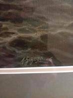 Schilderij De Zee ingelijst achter glas., Ophalen