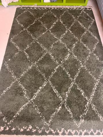 Karwei vloerkleed 160x240