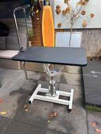 Trimtafel Hydraulisch, Ophalen of Verzenden, Gebruikt