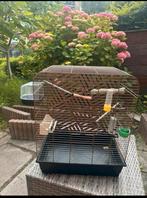 Vogel kooı, Ophalen, Zo goed als nieuw, Metaal, Vogelkooi