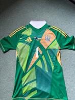 Gedragen en Gesigneerd Lunin Shirt (Oekraïne - Nieuw-Zeeland, Ophalen of Verzenden, Zo goed als nieuw, Buitenlandse clubs, Shirt