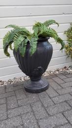 Bloembak, Ophalen, Tuin, Minder dan 60 cm, Rond