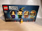 Nieuw Lego 40560 Professors of Hogwarts, Ophalen of Verzenden, Nieuw, Complete set, Lego