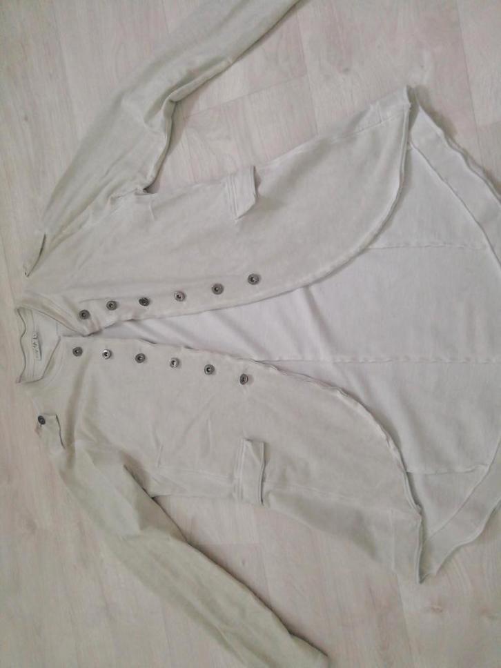 CityLife vest/jasje, maat L, Kleding | Dames, Truien en Vesten, Zo goed als nieuw, Ophalen of Verzenden