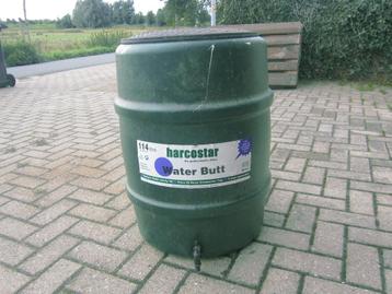 REGENTON  beschikbaar voor biedingen