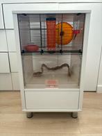 Omlet qute witte hamster en gerbilkooi, Dieren en Toebehoren, Kooi, Gebruikt, Minder dan 75 cm, Hamster