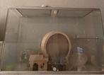 Glaze hamster verblijf + toebehoren, Dieren en Toebehoren, Knaagdieren en Konijnen | Hokken en Kooien, Gebruikt, 75 tot 110 cm