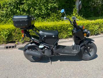 Honda NPS50 Zoomer 45km beschikbaar voor biedingen